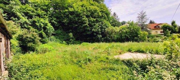 Land in Klosterneuburg, Austria No. 151411 3