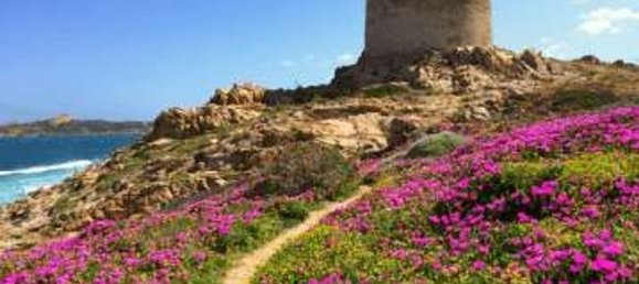 3 rooms Apartment in Trinità d'Agultu e Vignola, Italy No. 50059 27