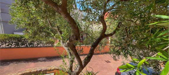 3 rooms Apartment in Trinità d'Agultu e Vignola, Italy No. 50059 8