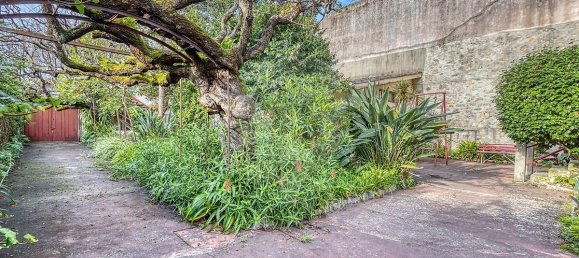 Casa de 9 dormitorios en Povoa de Varzim, Portugal No. 173519 3