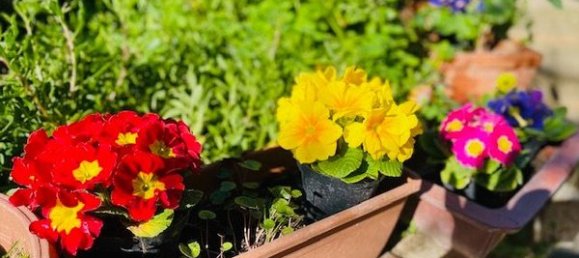 6-Zimmer Villa in Cerveteri, Italy, Nr. 83950 12