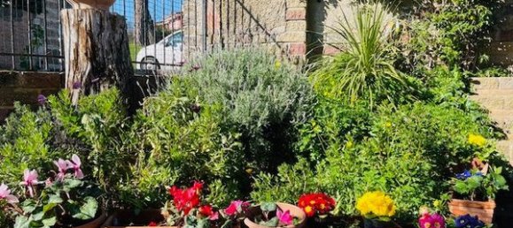 6-Zimmer Villa in Cerveteri, Italy, Nr. 83950 3