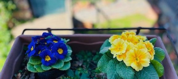 6-Zimmer Villa in Cerveteri, Italy, Nr. 83950 13