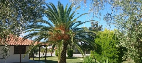 10-Zimmer Stadthaus in Thasos, Greece, Nr. 54890 4