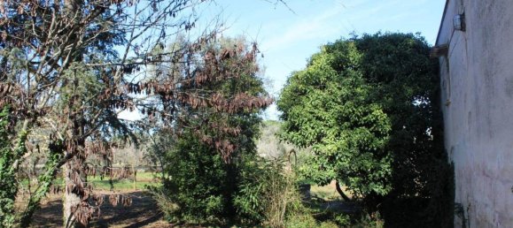 Земельный участок 60м² в Франкавилла Фонтана, Италия № 143565 2