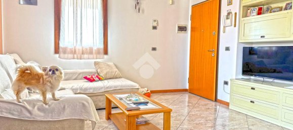 3 chambres Penthouse à Curtarolo, Italy No. 272095 2