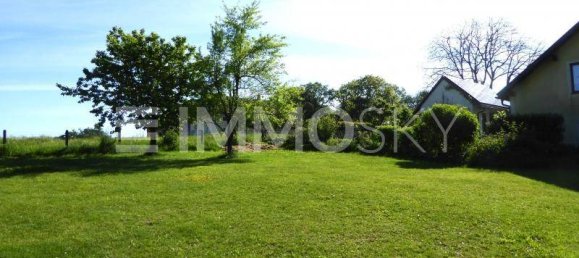 Land in Wels, Austria No. 131223 4