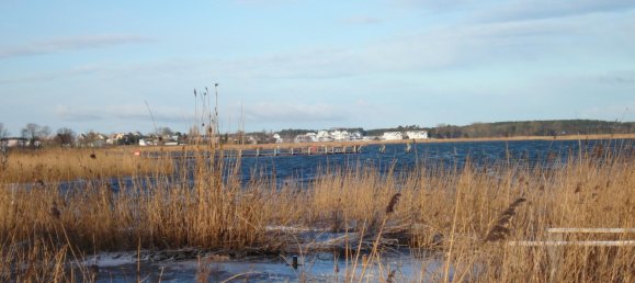 4-salle Maison à Vorpommern-Greifswald, Germany No. 188730 11