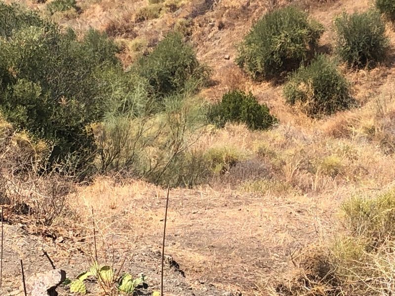 Terreno en Almáchar, Spain 500 m² No. 224490