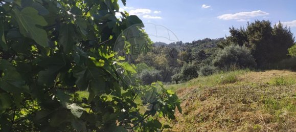 1560m² Land in Tomar, Portugal No. 71042 13