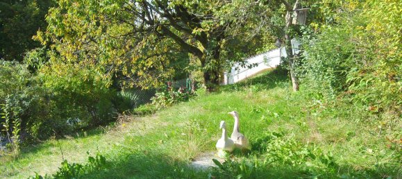 5 rooms House in Deggendorf, Germany No. 268452 7