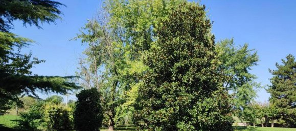 9 rooms Villa in Annone Veneto, Italy No. 30202 23