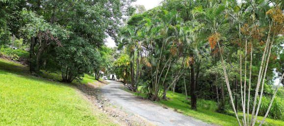 6 غرف نوم مزرعة في Maroochy River, Australia رقم 610 17