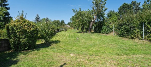 5 rooms House in Zistersdorf, Austria No. 219760 30