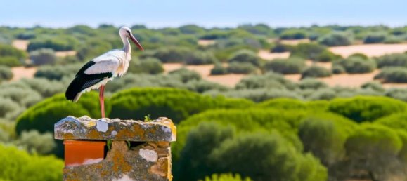  قطعة أرض في Quelfes, Portugal 9108متر مربع رقم 104840 27