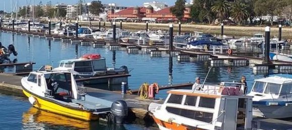  قطعة أرض في Quelfes, Portugal 9108متر مربع رقم 104840 26