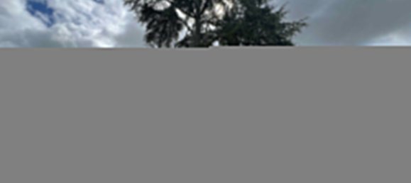 2 bedrooms Apartment in Orleans, France No. 72531 16