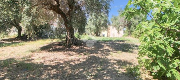 2 غرف نوم منزل في Torrevecchia Teatina, Italy رقم 289195 8