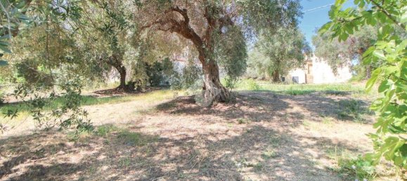 2 غرف نوم منزل في Torrevecchia Teatina, Italy رقم 289195 6