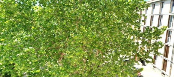 Apartamento de 3 dormitorios en Salon-de-Provence, France No. 197098 12