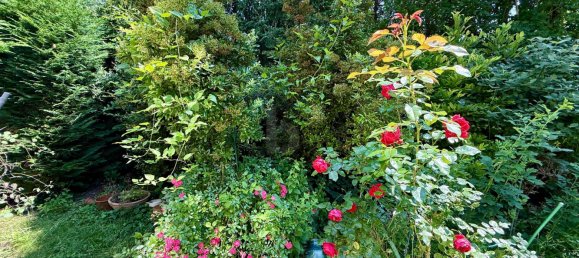 Apartamento de 4 habitaciónes en Hinterbruhl, Austria No. 235953 4