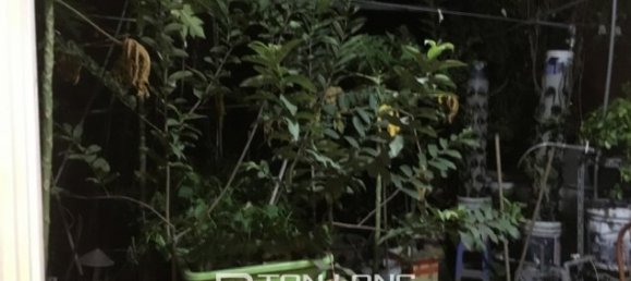 5 bedrooms House in Tay Ho, Vietnam No. 1594 14