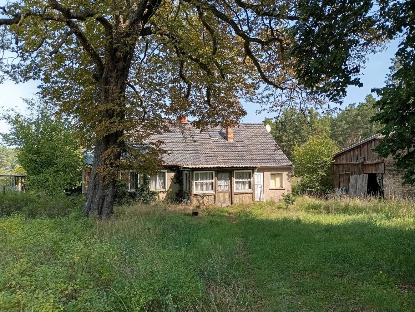  قطعة أرض في Potsdam-Mittelmark, Germany رقم 371579