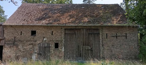  قطعة أرض في Potsdam-Mittelmark, Germany رقم 371579 3