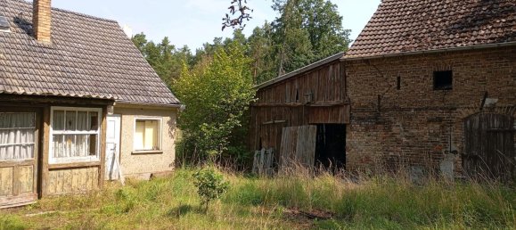  قطعة أرض في Potsdam-Mittelmark, Germany رقم 371579 2