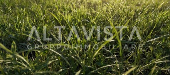  قطعة أرض في Manerba del Garda, Italy 7100متر مربع رقم 267291 4