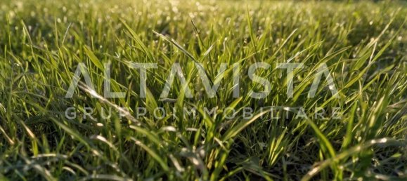  قطعة أرض في Manerba del Garda, Italy 7100متر مربع رقم 267291 8