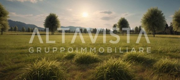  قطعة أرض في Manerba del Garda, Italy 7100متر مربع رقم 267291 9