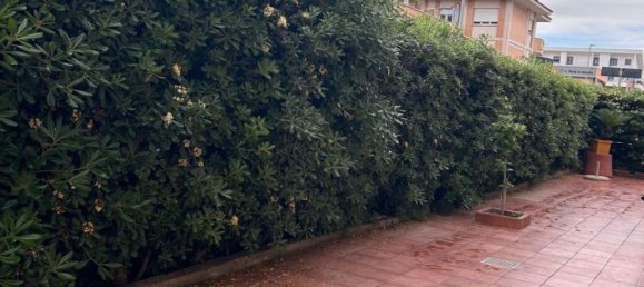 2-Zimmer Wohnung in Fiumicino, Italy, Nr. 204003 15