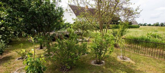 Granja de 13 dormitorios en Saxony, Germany No. 171263 23