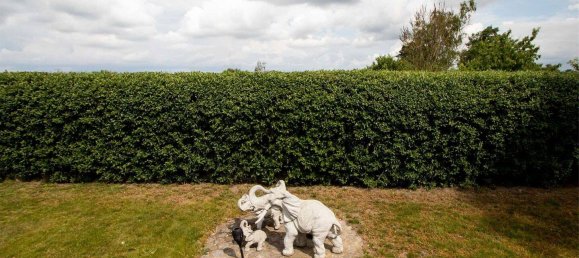 Granja de 13 dormitorios en Saxony, Germany No. 171263 21