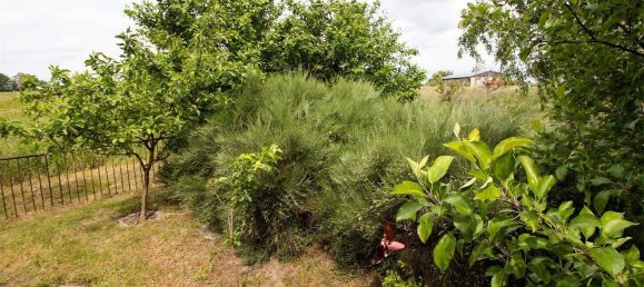 Granja de 13 dormitorios en Saxony, Germany No. 171263 24