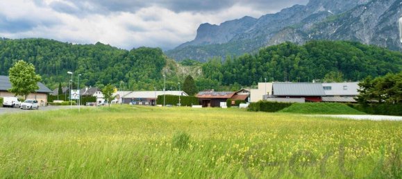 Земельный участок в Халлайн, Австрия № 163884 2