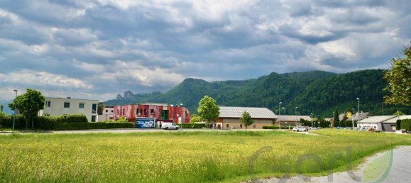 Земельный участок в Халлайн, Австрия № 163884 4