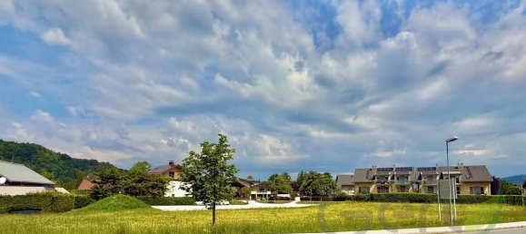 Земельный участок в Халлайн, Австрия № 163884 5