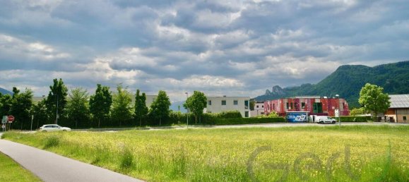 Земельный участок в Халлайн, Австрия № 163884 3