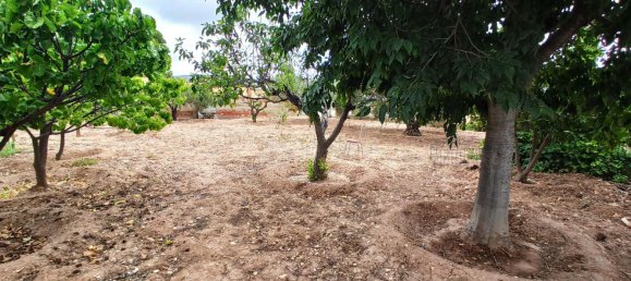 3 bedrooms House in Moralet, Spain No. 170759 39