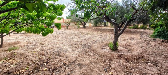 3 bedrooms House in Moralet, Spain No. 170759 41