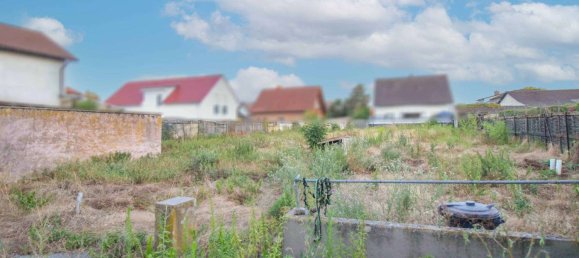 Terreno en Rhein-Pfalz, Germany No. 267281 5