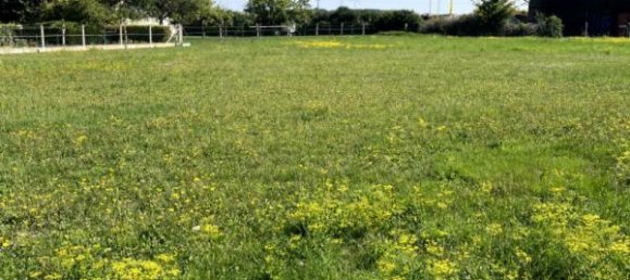  Land in Les Grandes-Chapelles, France No. 344694 3