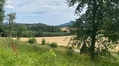  Land in Heiligenkreuz, Austria No. 145378