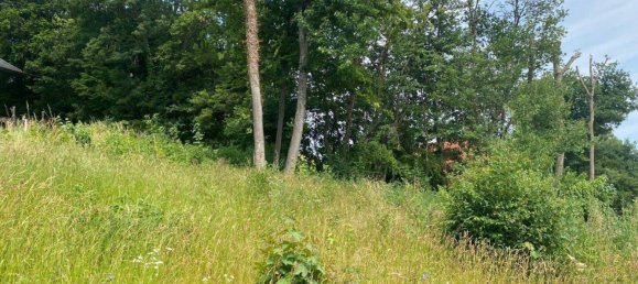 Land in Heiligenkreuz, Austria No. 145378 5