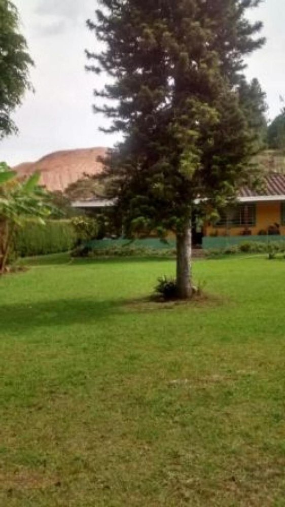 5 bedrooms House in Antioquia, Colombia No. 9072