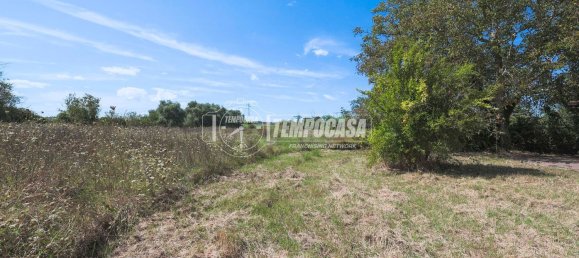 2 bedrooms House in Misano Adriatico, Italy No. 377120 22