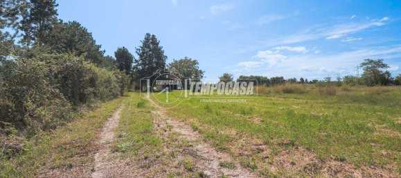 2 bedrooms House in Misano Adriatico, Italy No. 377120 18