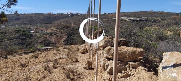 Terrain à Arico, Spain 5000m² No. 157299 2